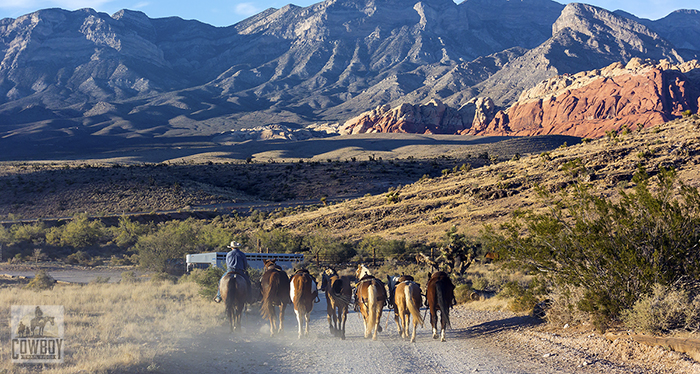 Horses are brought to main corral after Horseback Riding in Las Vegas at Cowboy Trail Rides in Red Rock Canyon