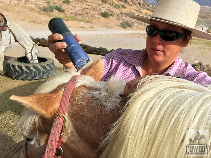 A horse gets a trim just before Horseback Riding in Las Vegas at Cowboy Trail Rides in Red Rock Canyon