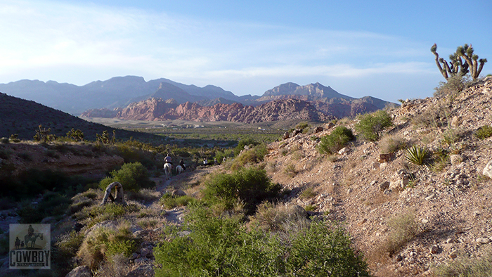 Looking down a ravine at the Visitors Center at sunset while Horseback Riding in Las Vegas at Cowboy Trail Rides in Red Rock Canyon