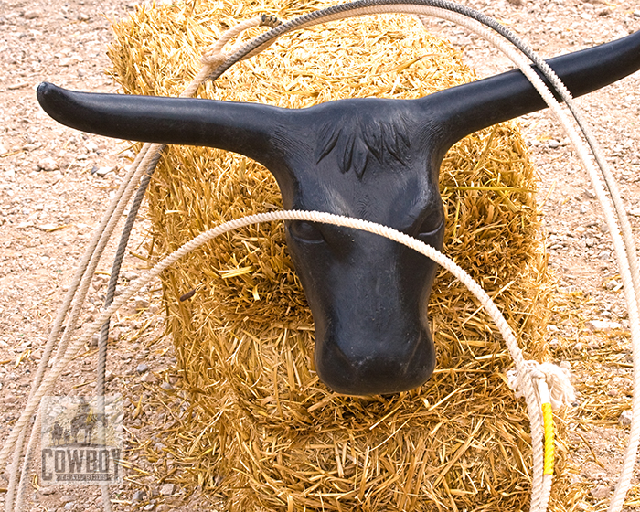 Cowboy Trail Rides - Fake calf's head for roping